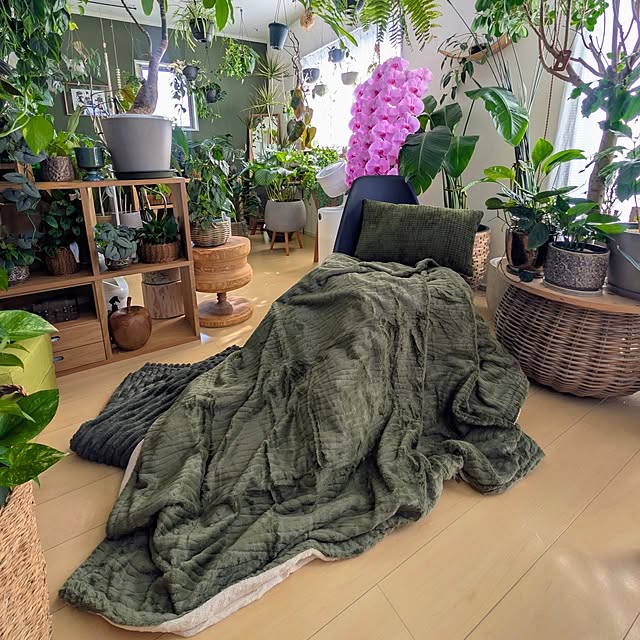 ayamameさんの実例写真