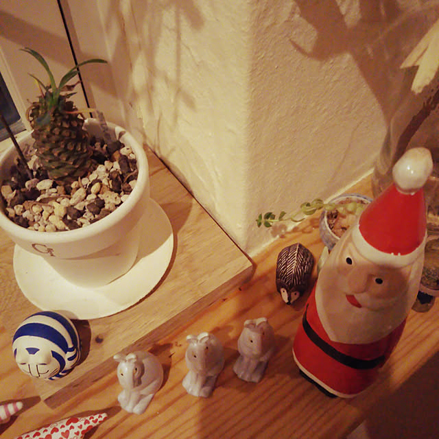t.yumiさんの実例写真