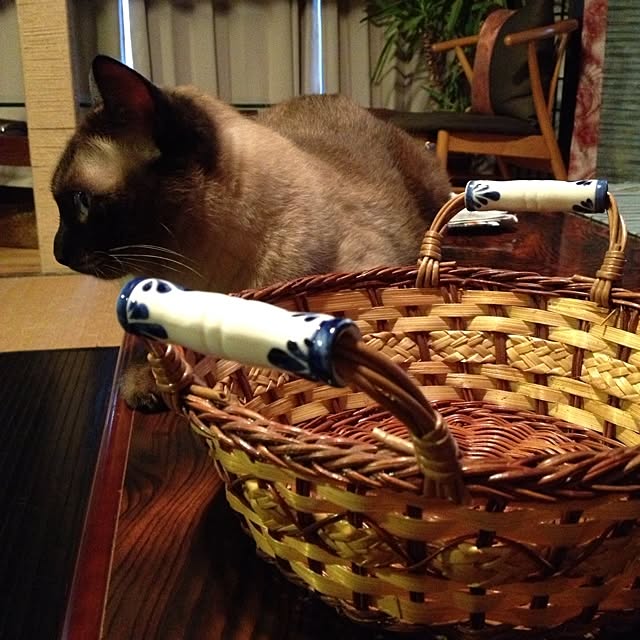 salyuさんの実例写真