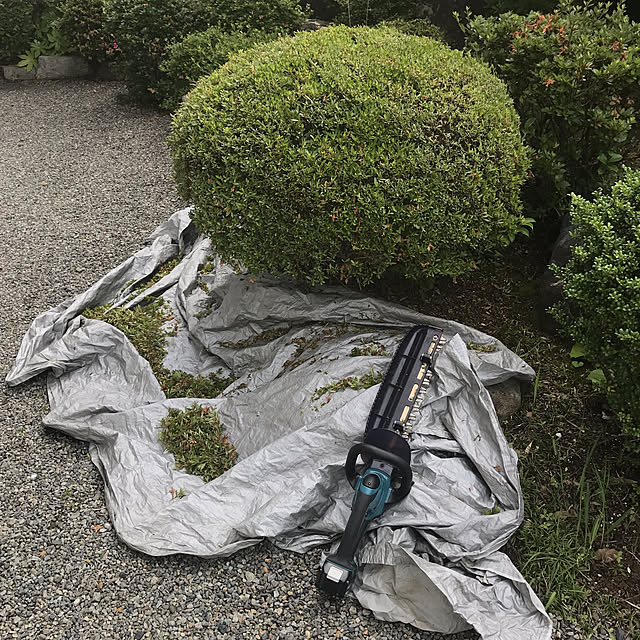 yuu.oさんの部屋