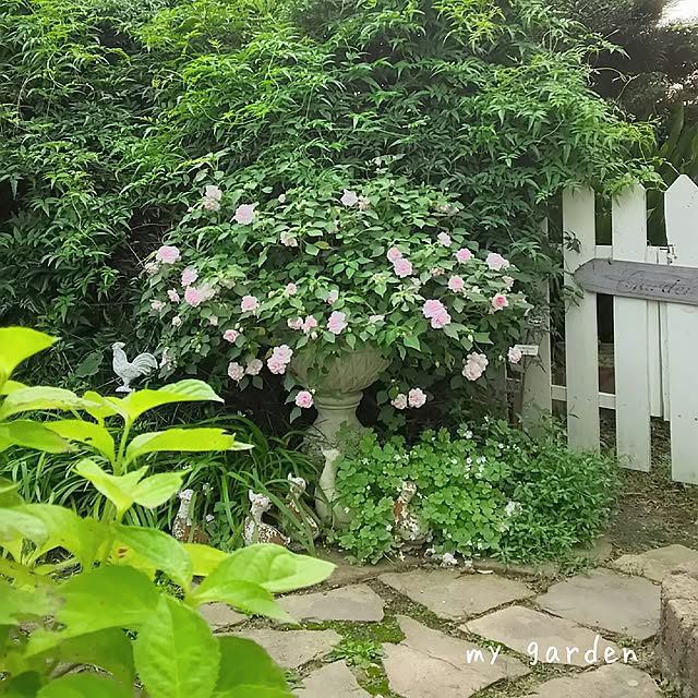 s.mamaさんの実例写真