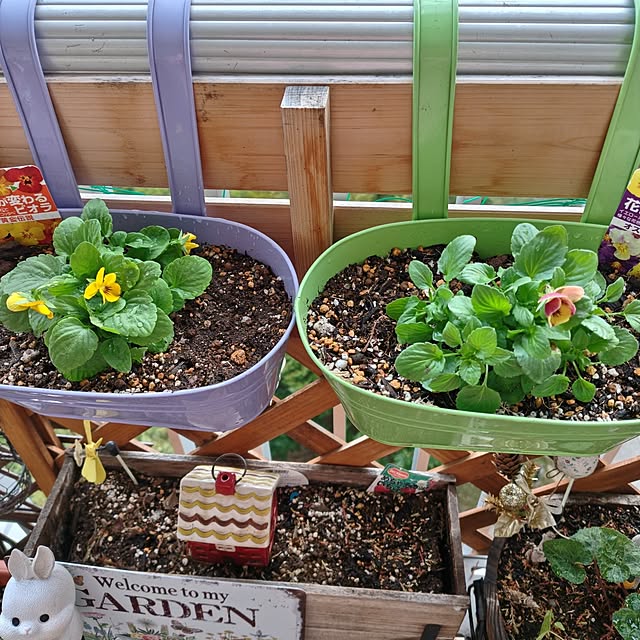 mariaさんの部屋