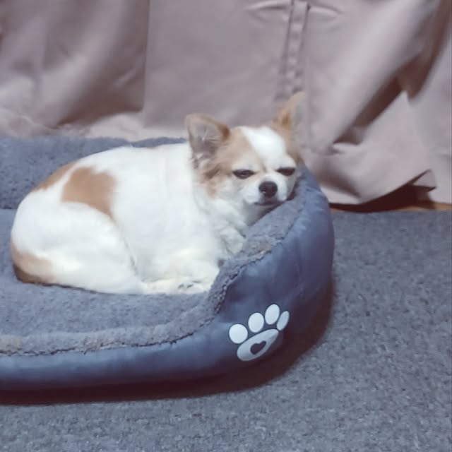 hiro.904さんの実例写真