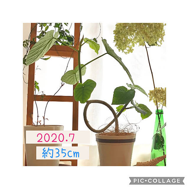 ayayayayaさんの部屋