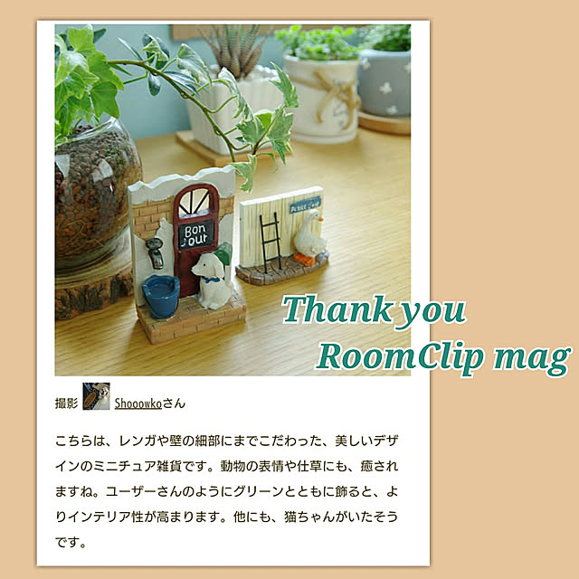Shooowkoさんの実例写真