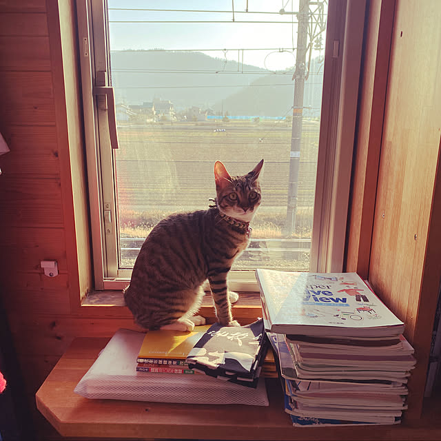 hina1296さんの実例写真