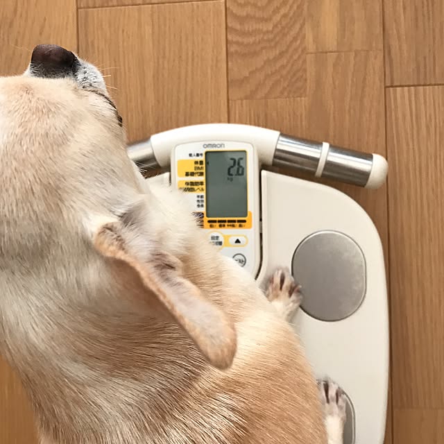 rosemaryさんの実例写真