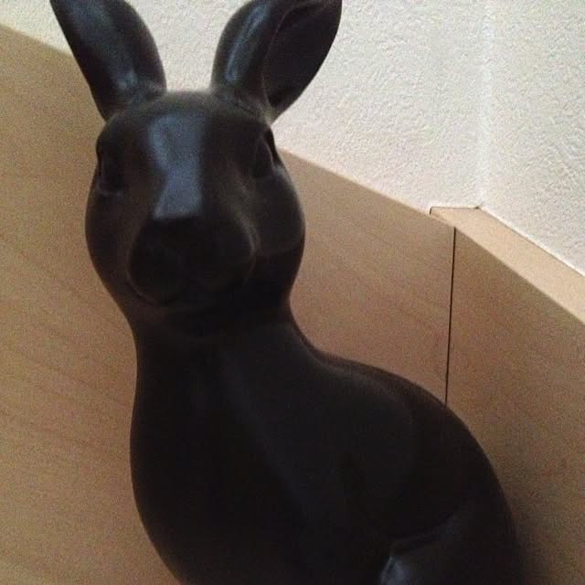 cocoさんの実例写真