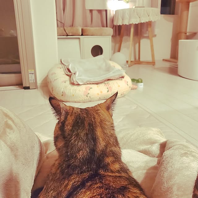 JIHYEさんの実例写真