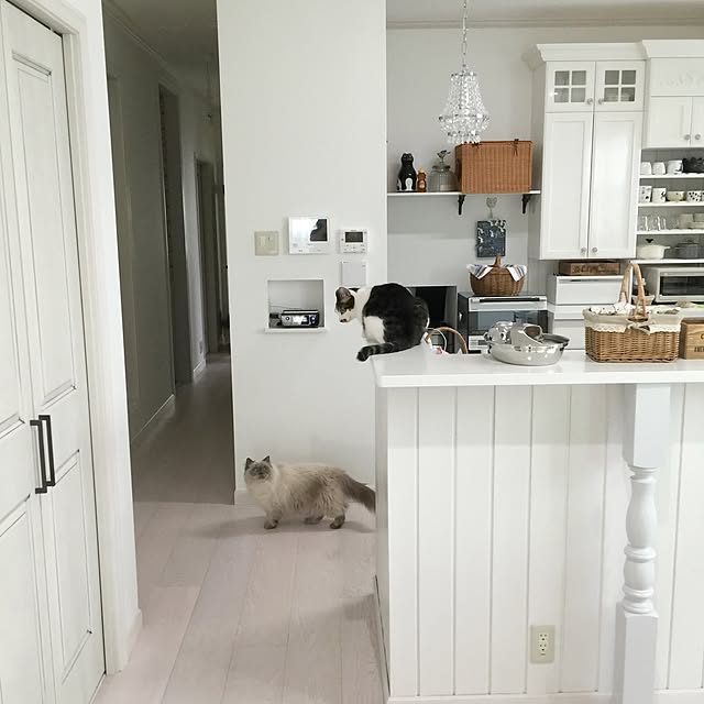 yuchiさんの実例写真