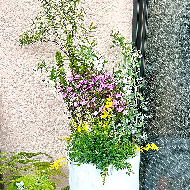 miiis.greenさんの実例写真