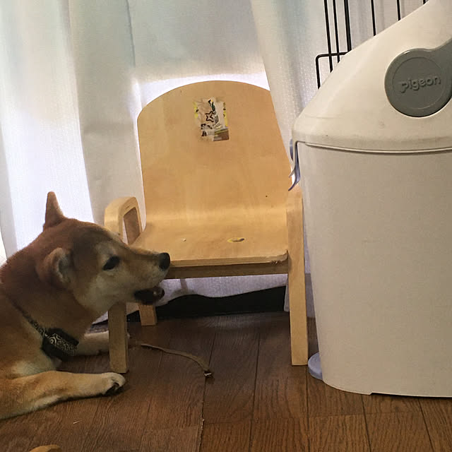 luckyさんの実例写真