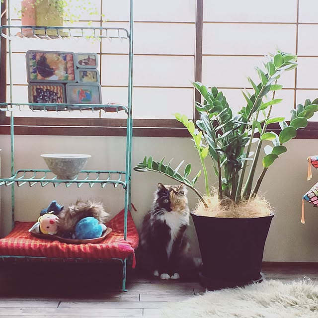 nekobusさんの実例写真