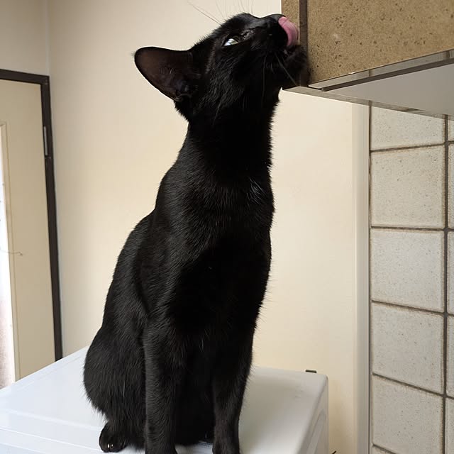 asaさんの部屋