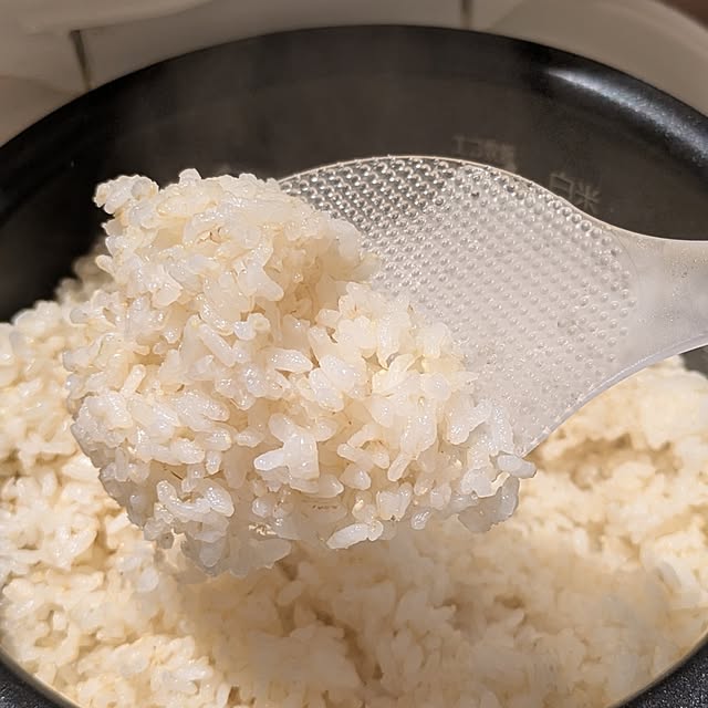 omosayabokoさんの部屋