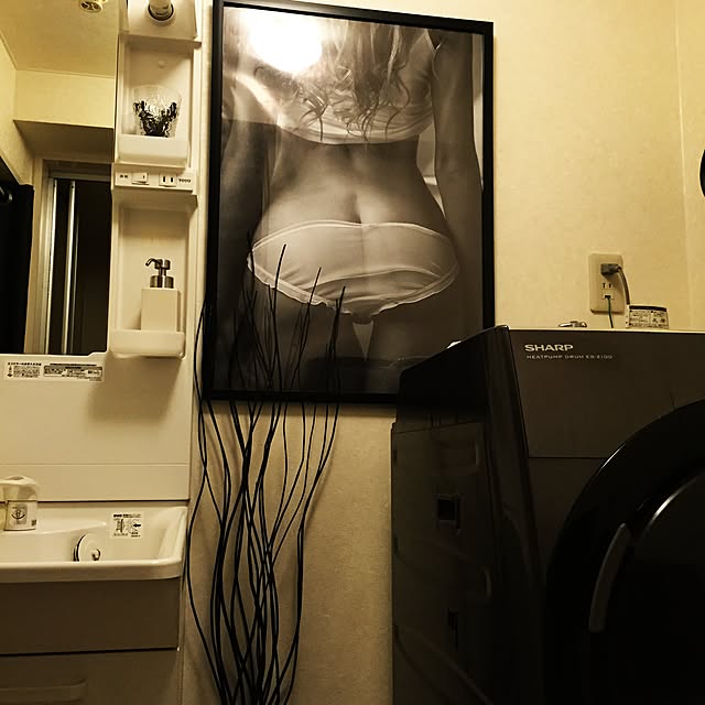 hitorigotoさんの実例写真