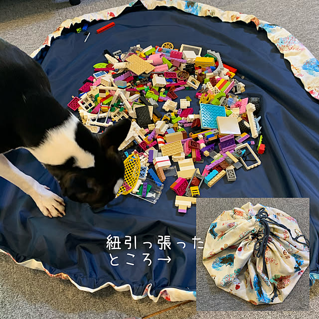 ayachoco.1181さんの実例写真