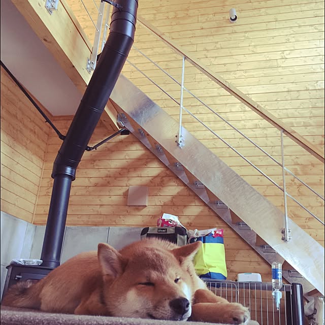 shoさんの実例写真