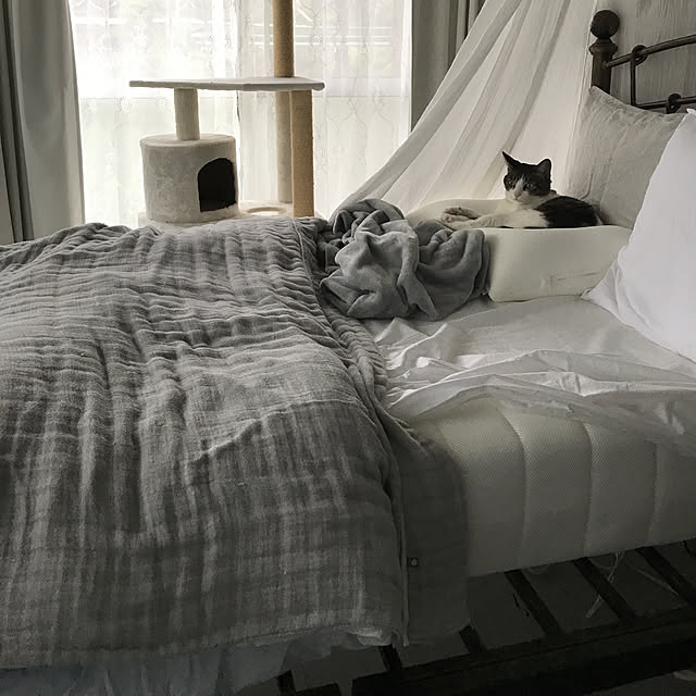 Shihoさんの実例写真
