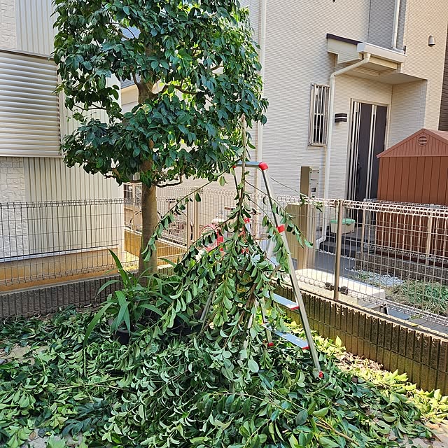 yasu10さんの部屋