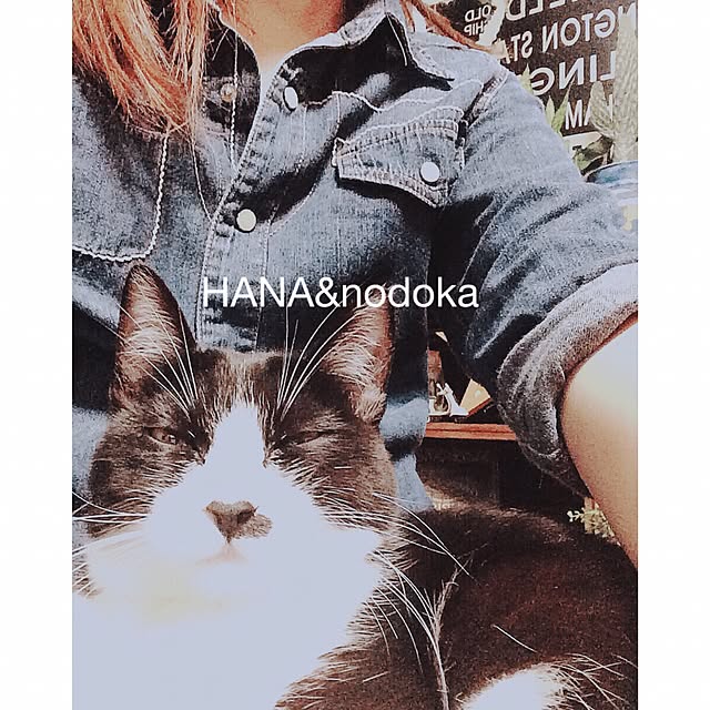 nodokaさんの実例写真