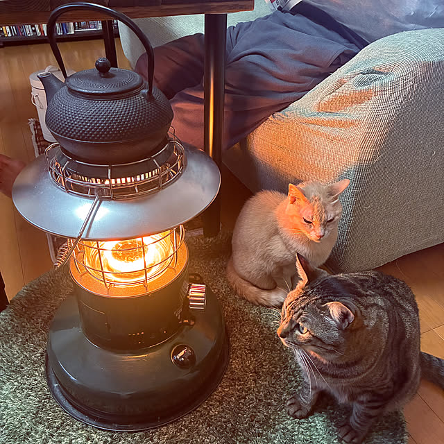 mikan161さんの実例写真