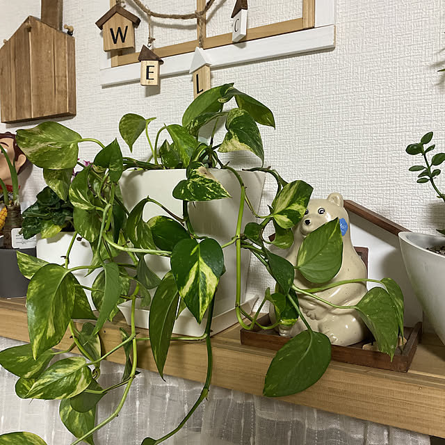 R.S.Kさんの実例写真