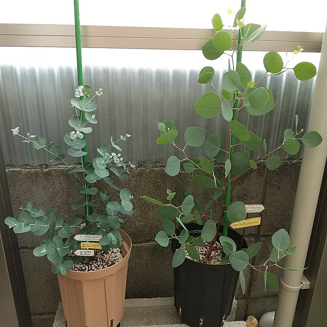 meiさんの部屋