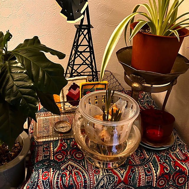 chikaさんの実例写真