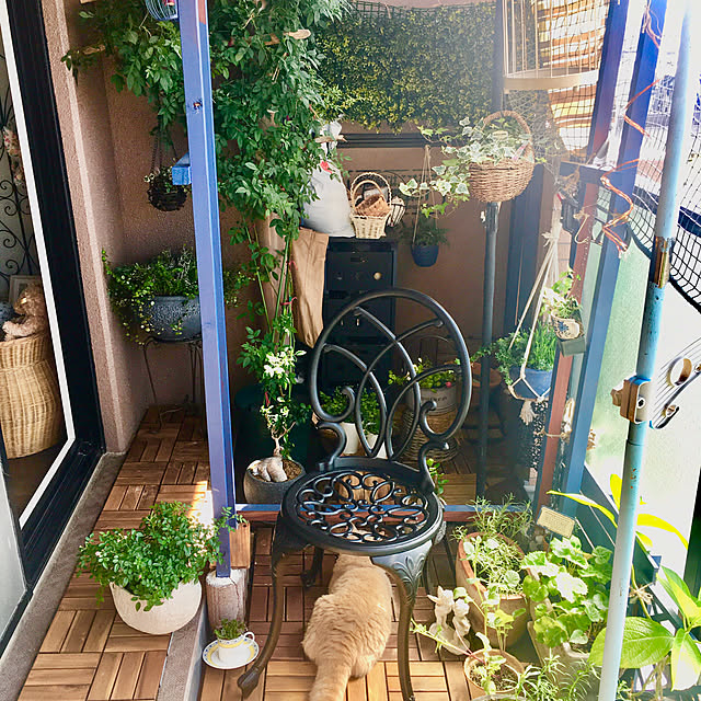 naokoさんの実例写真