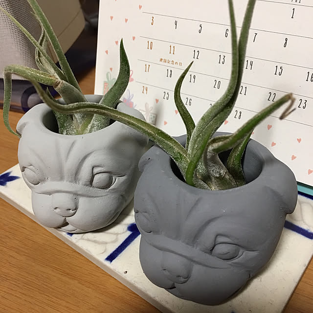 makizoさんの実例写真