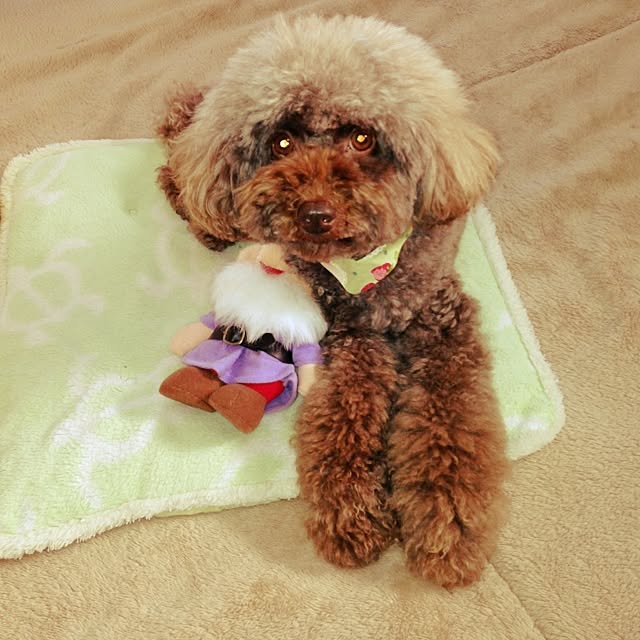 rubyさんの実例写真