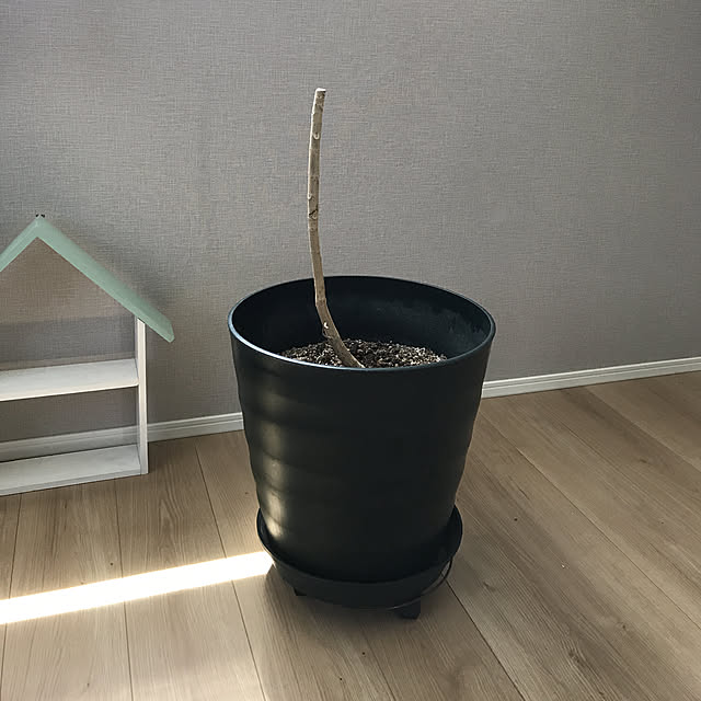 hananokaoriさんの実例写真