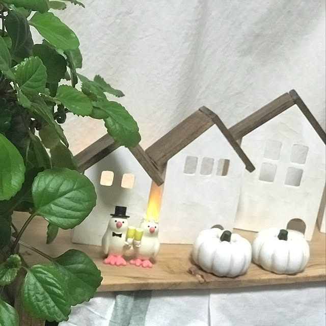 mockさんの実例写真