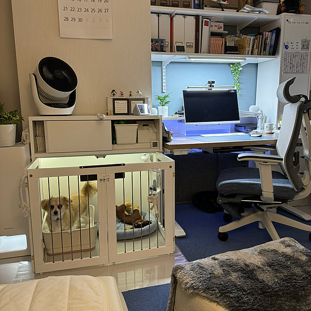 Rainyさんの部屋