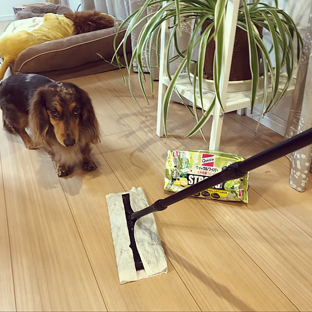 cocoaさんの実例写真