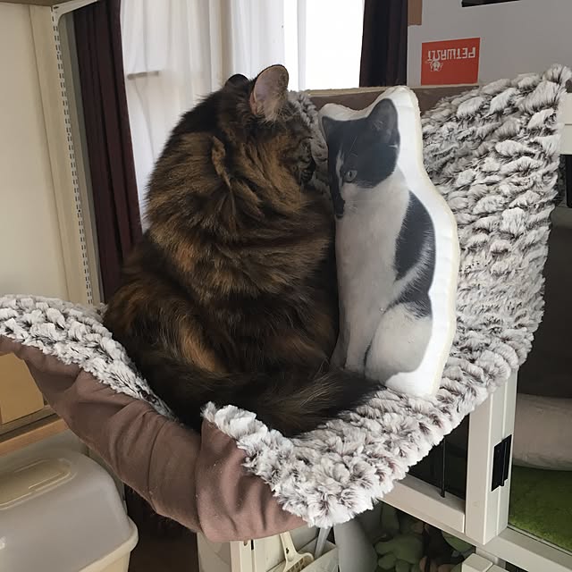 mikomaruさんの実例写真
