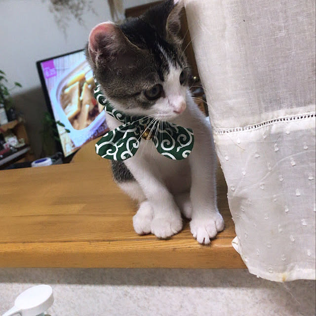 Akiさんの実例写真