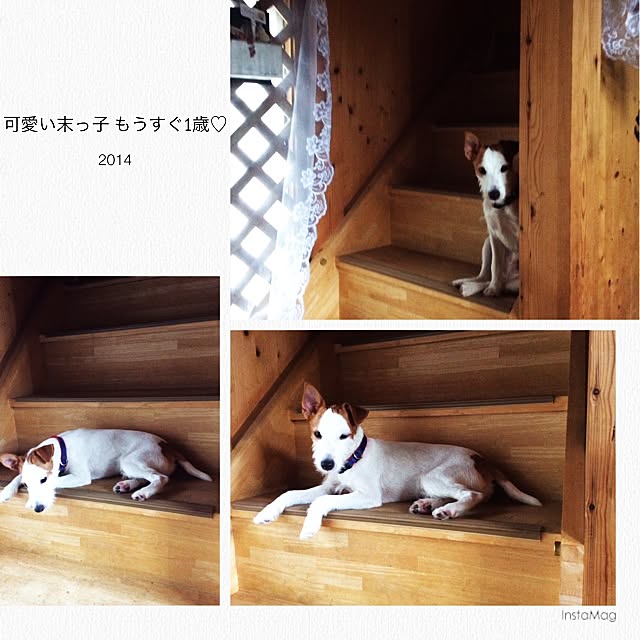 20rose_mamiさんの実例写真