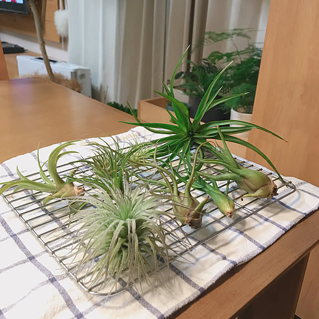 yukaさんの実例写真