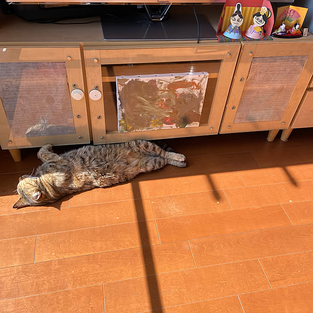 hansho.sさんの実例写真