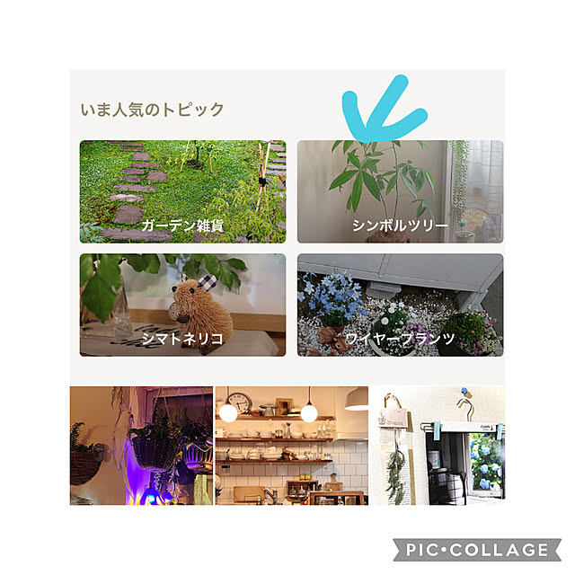 akiko-ovさんの実例写真