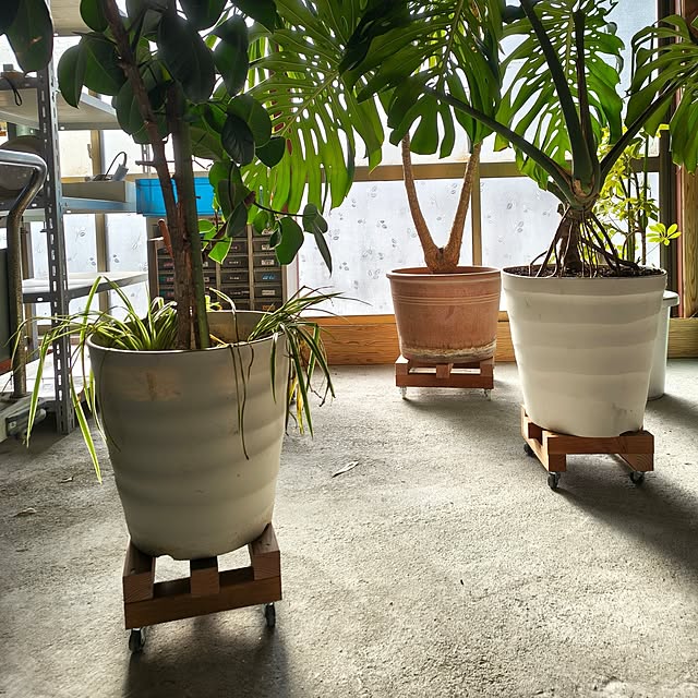 Rubiconさんの実例写真