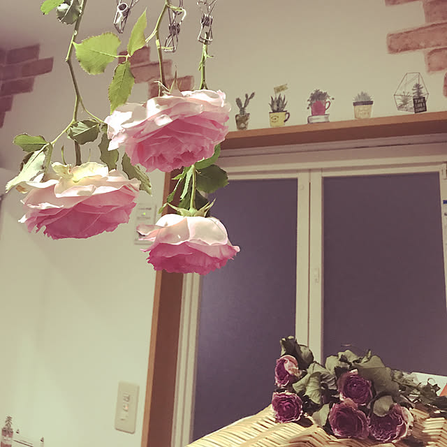 ayumiさんの実例写真