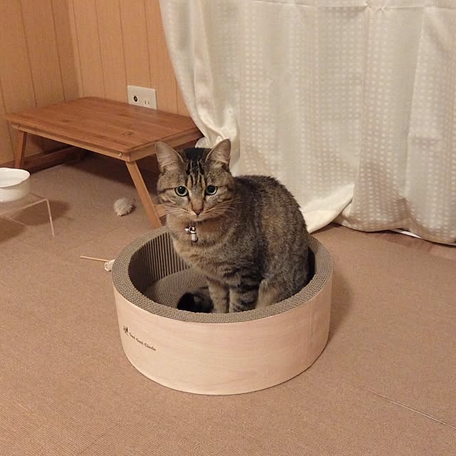 sb_ymhさんの実例写真