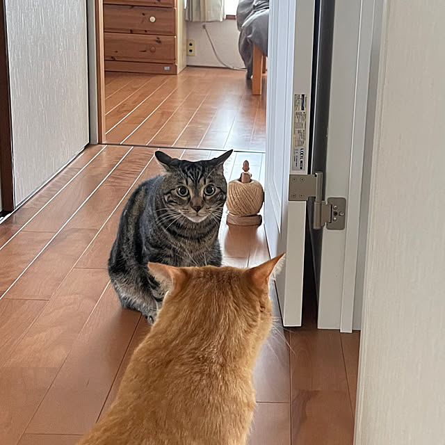 rijuさんの部屋