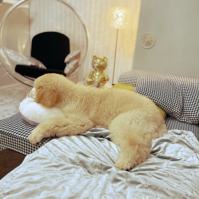 nackeyさんの実例写真