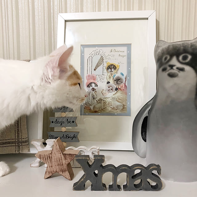 yuchiさんの実例写真