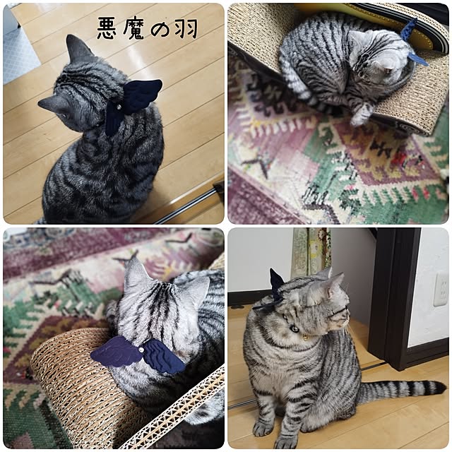 hiro3さんの部屋