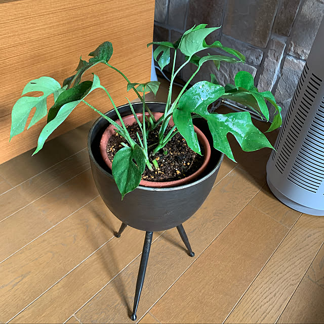 mama_sanさんの実例写真